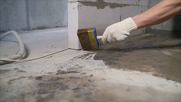 SJ Waterproofing Pros Waterproofing coverage map for Brownsboro, AL and surrounding area